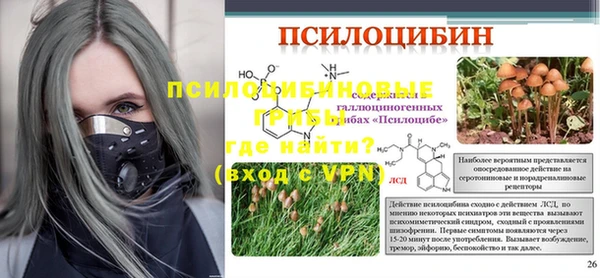 дмт Балахна