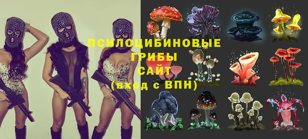 каннабис Баксан