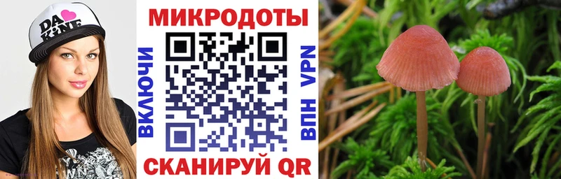 мориарти состав  Белая Холуница  Псилоцибиновые грибы Magic Shrooms 